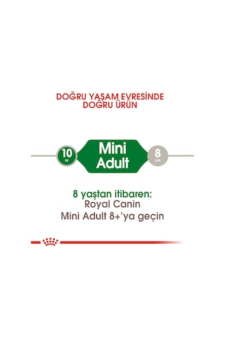 Royal Canin Mini Adult Köpek Maması 8 Kg