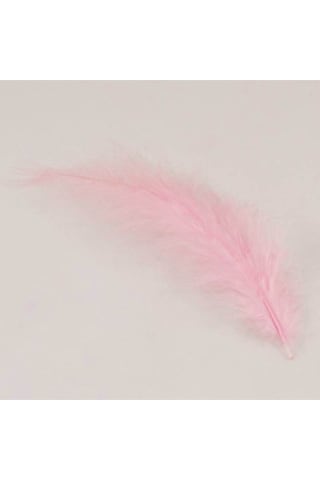 Kuş Tüyü Pembe Renk 100 Adet 6