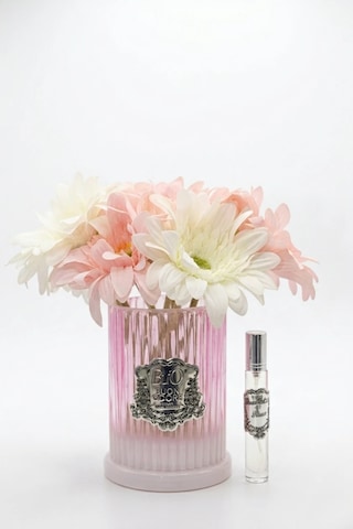 Renkli Vazo Silver Gerbera 8 Li Çiçek 47076843 Renkli Vazo Silver Gerbera 8 Li Çiçek 47076843