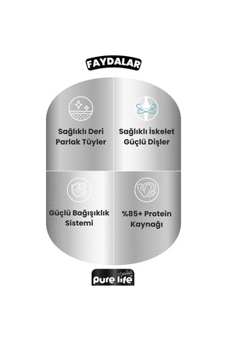 Purelife Plus 12'li Kuzulu Yetişkin Köpek Konserve Chunk Parça Etli Yaş Mama 400 G
