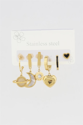 Kadın Kararmaz 6'Lı Kalp Figürlü Çelik Set Küpe Altın-M N11.698