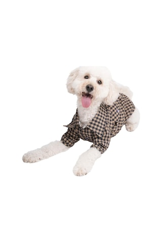 Pawstar Brown Gingham Shirt Kahverengi Pötikare Kedi Köpek Gömleği