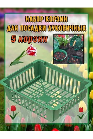 Domdacaogorod Soğanlı Bitkiler Ve Kelebek Yetiştirme Sepeti 263098581