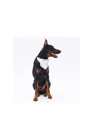 Gri Smokin Kedi Köpek Fuları Pet Bandanası