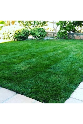 İgsaş Üre Gübresi Çim Ve Çit Gübresi Saf Azot Üst Gübre Granül Bitki Coşturan Üre Gübresi 1 Kg