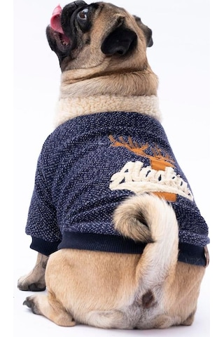 Pawstar Lacivert Alaska Esnek, Küçük Irk Köpek Trikosu