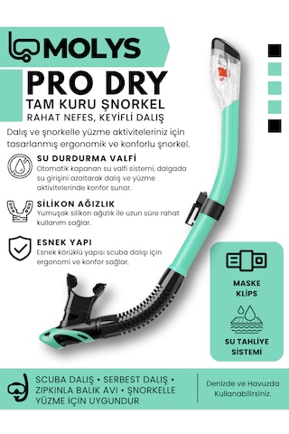 Molys Angel Dalış Maskesi + Antı Fog Buğu Önleyici Film + Pro Full Dry Tam Kuru Şnorkel + Maske Koruma Kutusu Set Halinde Siyah - Turkuaz