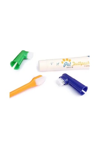 Büro Ev Evcil Hayvanı İçin Köpek Ağız Bakım Seti