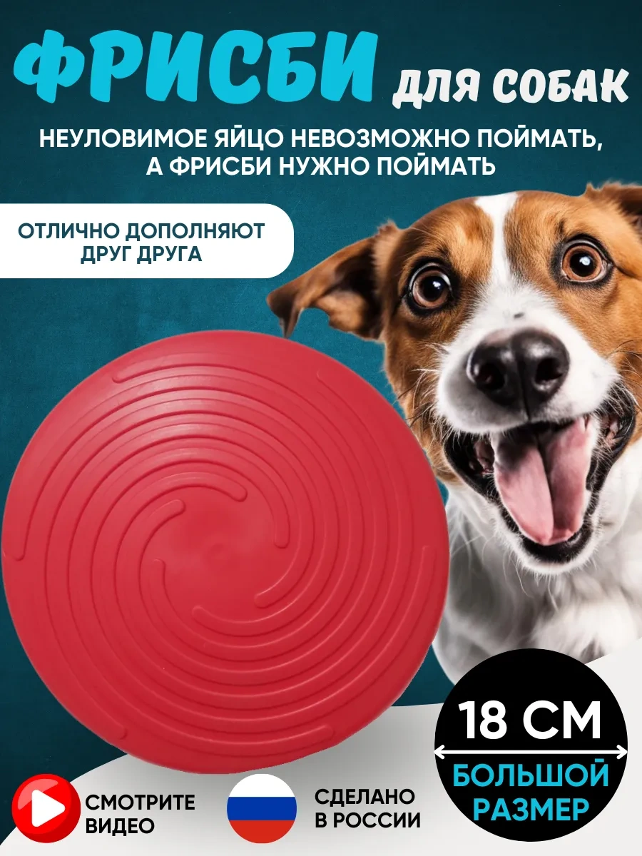 Anticarapki Köpekler İçin Frizbi Oyuncakları 287941739