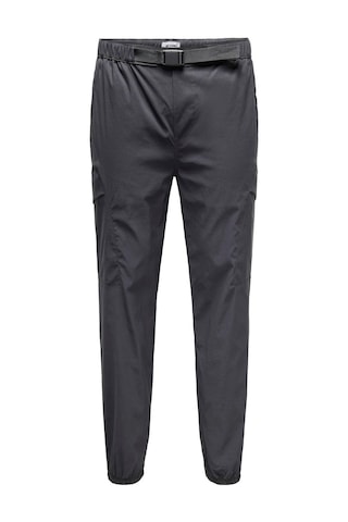 Only & Sons Only&sons Erkek Rahat Kargo Pantolon 22029923 Antrasit