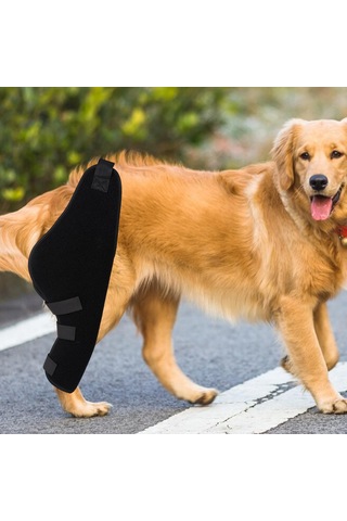 Homyl Köpek Dizlik Pet Dirsek Burkulma Koruması Için Sağ-arka