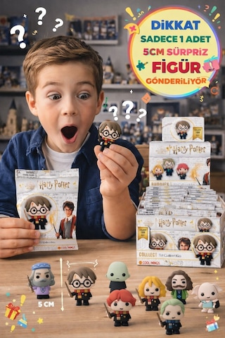 Harry Potter Wizard Buddies 3d Sürpriz Figür Paketi Lisanslı Koleksiyon Figür Oyuncak 5 Cm - 1 Adet