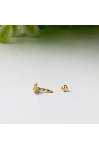 Bilezikci Amazon 14 Ayar Altın Tragus Küpe Kphsy14k22482 Sarı