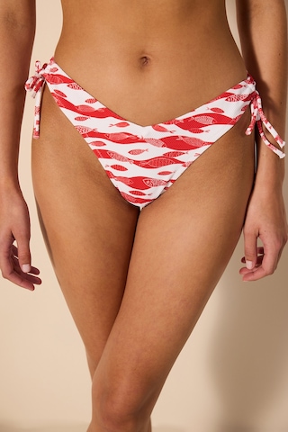 Penti Marine Fish V Ring Dokulu Çok Renkli Bikini Altı Ply41as424ıy-mıx Çok Renkli