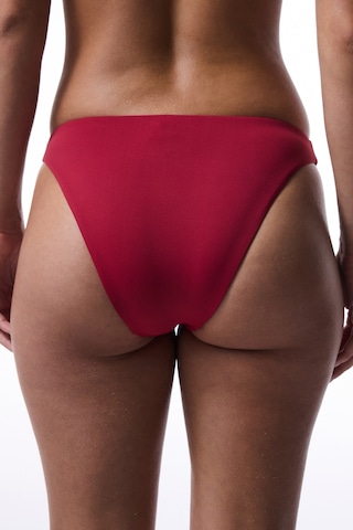 Penti Bordo Carmen Bikini Altı Bordo
