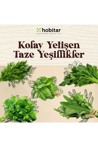 Hobitar Kolay Yetişen Yaze Yeşillikler Sebze Tohumu Paketi - 5 Çeşit Aromatik Tohumu