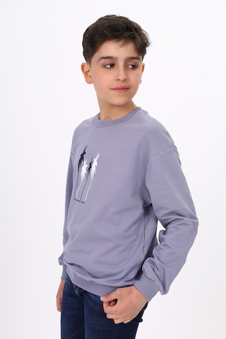 Toontoy Erkek Çocuk Baskılı Sweatshirt Koyu Gri