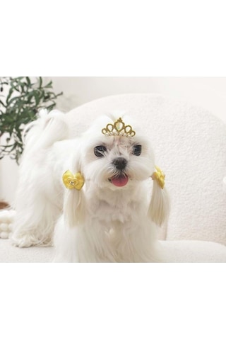 M-pets Glam Taç Ve Fiyonklu Kedi Ve Köpekler İçin Aksesuar Toka Sarı Mavi