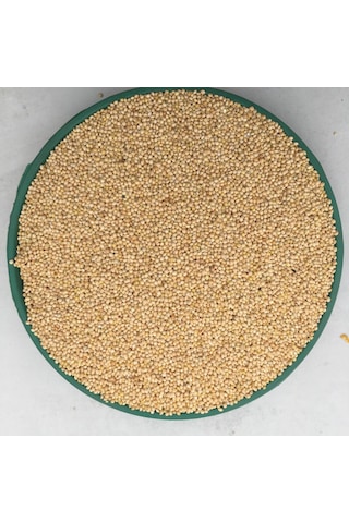 Ak Darı Muhabbet Kuşu Yemi 5 KG