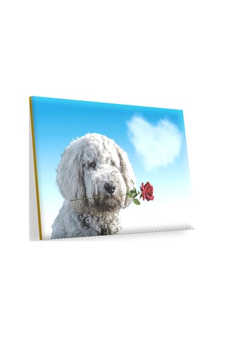 Cakasepetim Sevimli Köpek Gül Kalp Aşk Ahşap Mdf Tablo