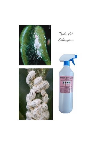 Armen Botanik Çiçek Ve Bitkiler Için Unlu Pamuk Biti İlacı 1000 ML