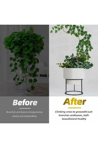 Ebitda 18 Adet Metal Bitki Destek Kafes Tırmanma Tesisleri, Duvar Kancaları İle Bahçe Dekorasyonu