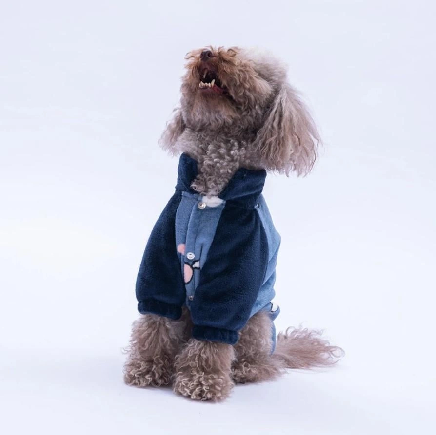 Pawstar Mavi Verona Kiss Küçük Irk Köpek Polar Ceket