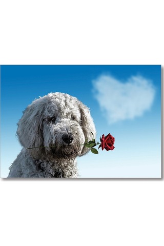 Cakasepetim Sevimli Köpek Gül Kalp Aşk Ahşap Mdf Tablo