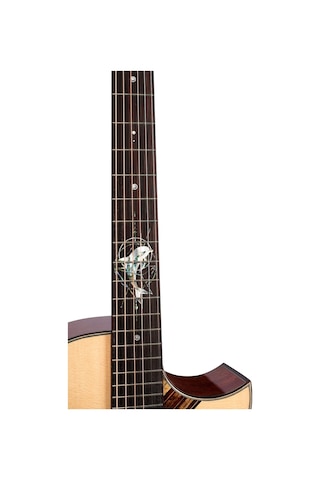 Trumon Dolphin 1955tf-m1pro Elektro Akustik Gitar