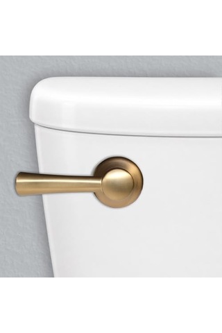 Victoria Tuvalet Tankı Kolu Fırçalanmış Pirinç 11 44 X 2 75 X 2 44 Çok Renkli