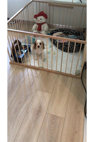 AHŞAP KÖPEK ÇİTİ YÜKSEKLİK 70 CM