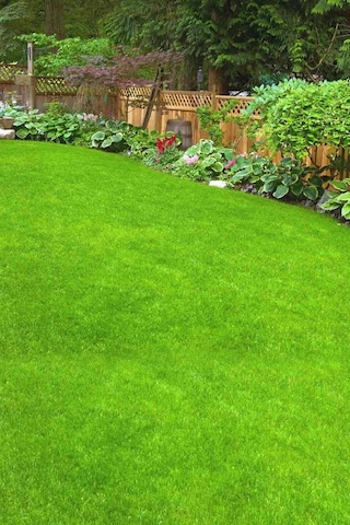 4 Adet Çim Tohumu İthal 7m Ankomer 1'lik Ambalajlarda Toplam 4 Kg. 7m Çim Tohumu 80 M2 Alan İçin