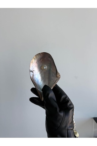 Deniz Kabuğu Tek İncili Pteria Penguin Sedefli Dekoratif Kabuk 7-9 Cm 1 Adet Genel