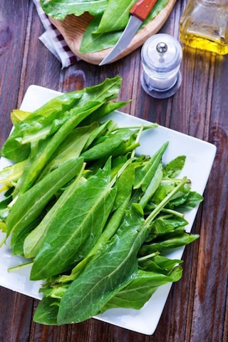 Geniş Yapraklı Kuzukulağı Labada Tohumu Atalık Large Leaf Sorrel