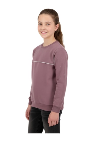 Kız Çocuk Taşlı Sweatshirt Bgl-st05268 Gül Kurusu