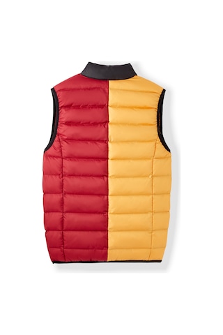 Gsstore Galatasaray Erkek Yelek E252134 Sarı - Kırmızı