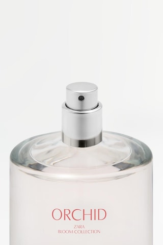Zara Orchıd Kadın Parfümü EDP 90 ML