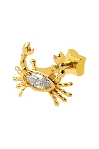 Bilezikci 14 Ayar Altın Yengeç Tragus Küpe Kphsy14k22508