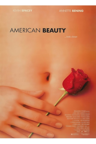 American Beauty 1999 Poster