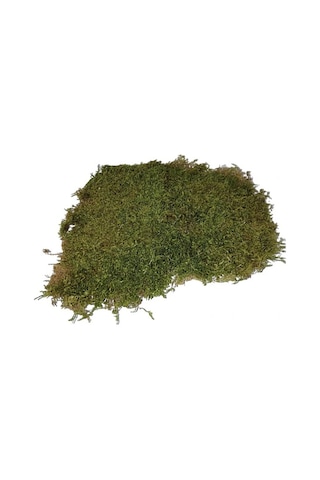Flatmoss Doğal Kara Yosunu 500 G