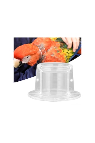 Qingmipy Kuş Yaralı Kolları: Akrilik Materyal, Kanat Çiçeklendiğini Engeller, Yaraların İyileşmesini Sağlar, Güvenli Ve Dayanıklı, L Boyutu Dış Çap 9.5cm, İç Çap 4.5cm