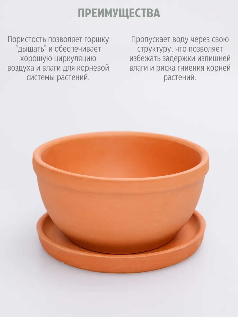 Wisty Düz Terakota Saksı Sualtı Kabı, 0,6 Lt, Altlık İle 330903968