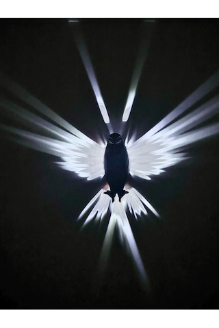 Kartal Şeklinde 3d Baskı Ile Üretilmiş Özel Üretim Dekoratif Gece Siyah