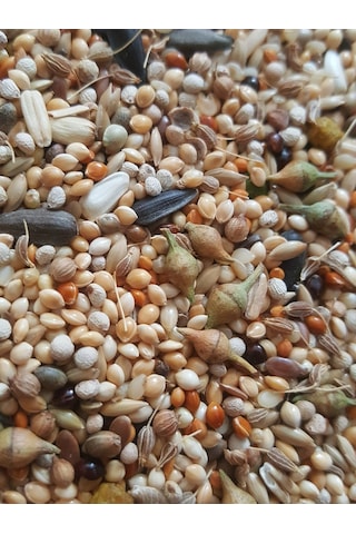 Sultan Papağani Yemi̇ 500 Gr