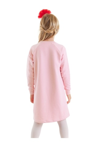 Denokids Uğur Böceği Çiçekler Baskılı Kız Çocuk Elbise Pembe