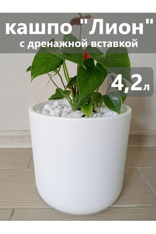 Live-in-green Büyük Yer Flori Şişi 4 Litre 159795529