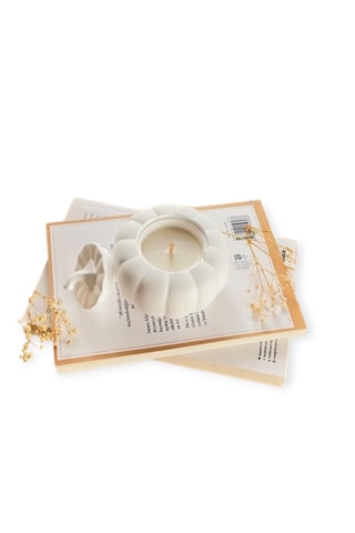Beyaz Bal Kabağı Mum Soya Wax Mum Beyaz