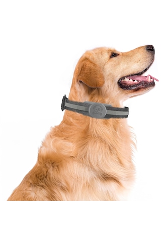 Buff Tagsafe Dogcol Taşınabilir Anahtarlık Apple Uyumlu AirTag Kılıf Gray