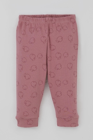 Breeze Kız Bebek Pijama Takımı Omuzdan Patlı Elma Bahçesi 4 Ay-1 Yaş, Gülkurusu