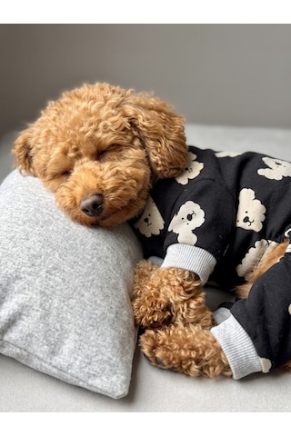 Doggy Köpek Uyku Takımı Pamuklu Penye Köpek Tulumu Ve Mini Yastık Küçük Irklar İçin Tüy Dökülmesini Azaltır
